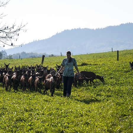 Agroturistika Kozi Farma Rožnov pod Radhoštěm מראה חיצוני תמונה