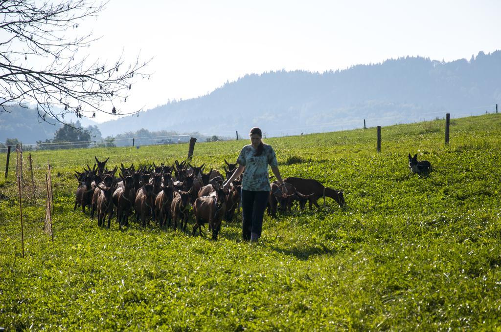Agroturistika Kozi Farma Rožnov pod Radhoštěm מראה חיצוני תמונה